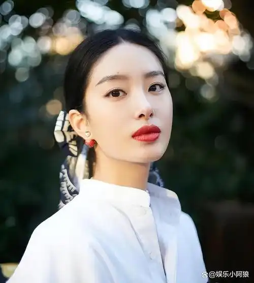 杨采钰和刘亦菲经常被网友拿来进行资源对比,甚至陈金飞在媒体面前也