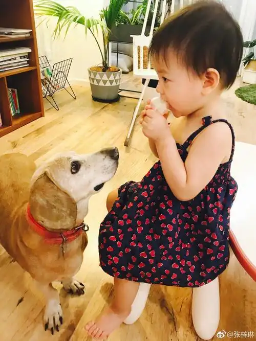 张梓琳晒童年从小就是美人胚子照片却暴露一个小细节