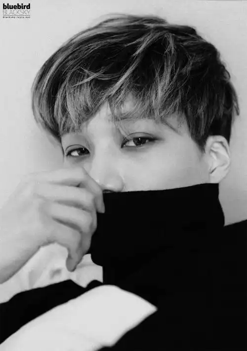 金钟仁在日本的影响力到底有多大?