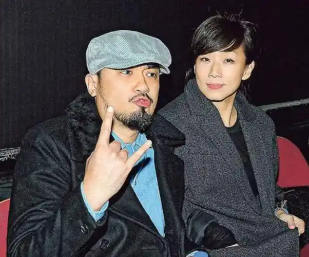 56岁林忆莲失恋后罕见现身,身形消瘦模样大变,全素颜撞脸余秀华插图7