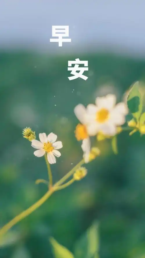 2021最新小清新早安配图