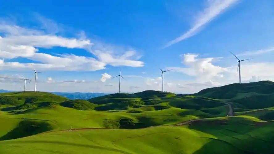 美如画的黑巴草场每一张都是电脑桌面壁纸