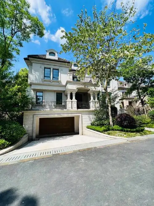 800个w起拥有70年龙湖独栋别墅来一栋