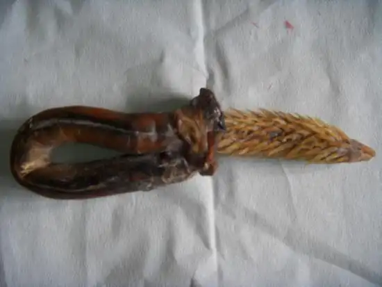 动物鞭大盘点吃了真能补肾壮阳吗