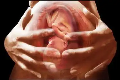 女人生孩子的全过程你清楚吗,母亲是伟大的