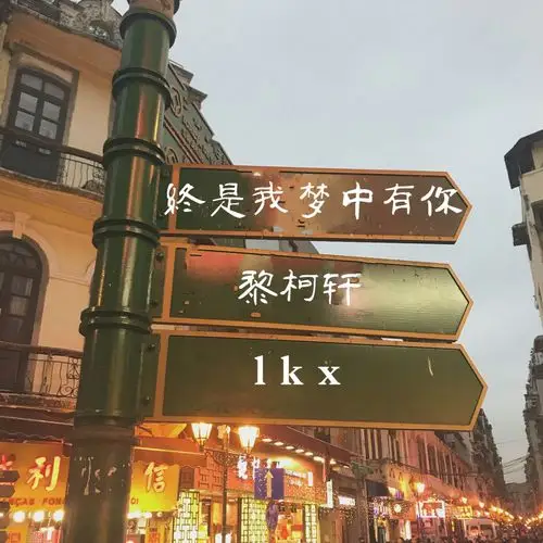 黎柯轩终是我梦中有你