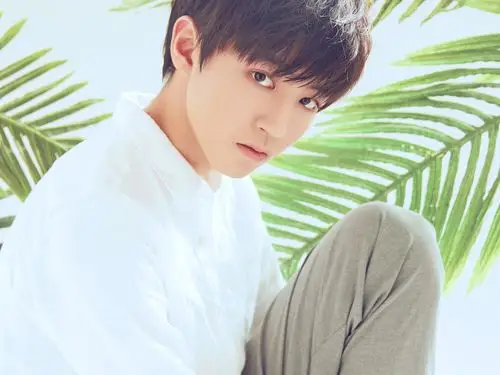 tfboys,王俊凯,小清新,小鲜肉tfboys壁纸图片