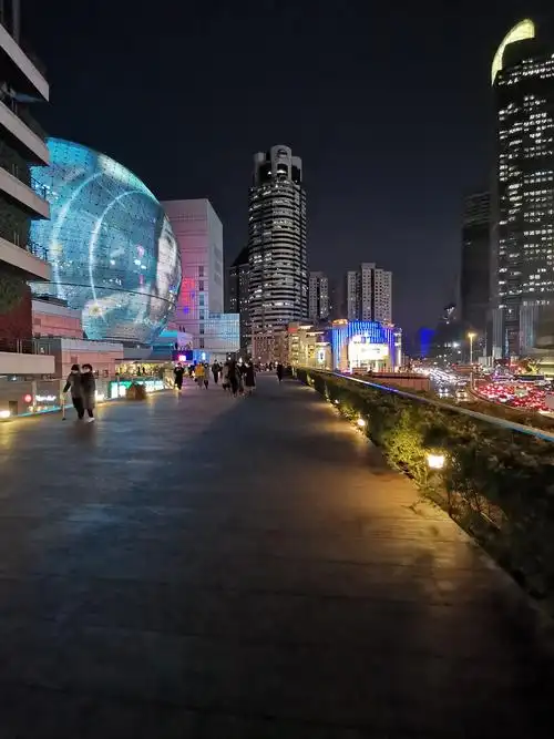 徐家汇夜色, 2021.元月