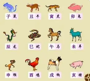 十二生肖图片3