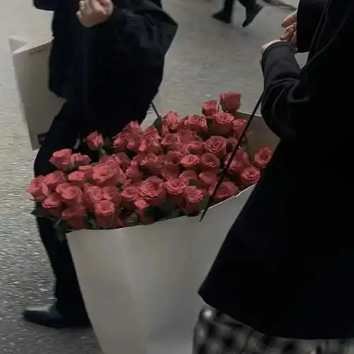 【背景图】|抖音朋友圈背景图