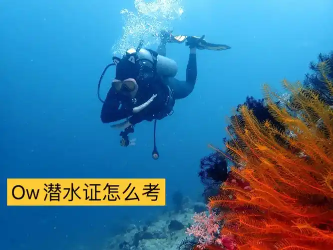 不会游泳的人怎么考ow潜水证书