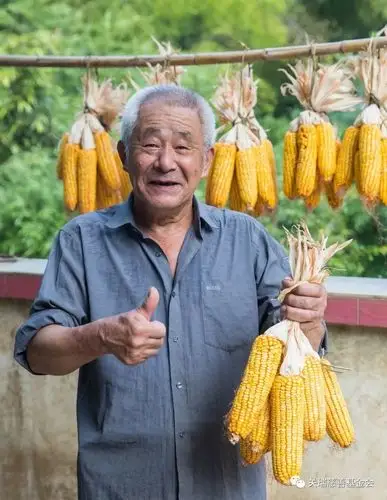 夕阳入画之常绿老人最美笑脸(第95-99站)