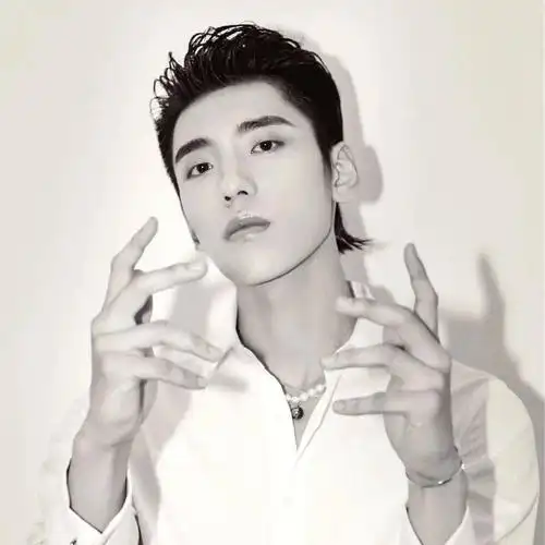 【微信头像】王子异