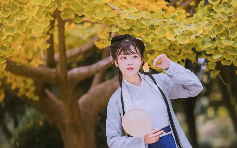 客片赏--漫天银杏惹相思 汉服mv古风摄影_哔哩哔哩 (゜-゜)つロ 干杯