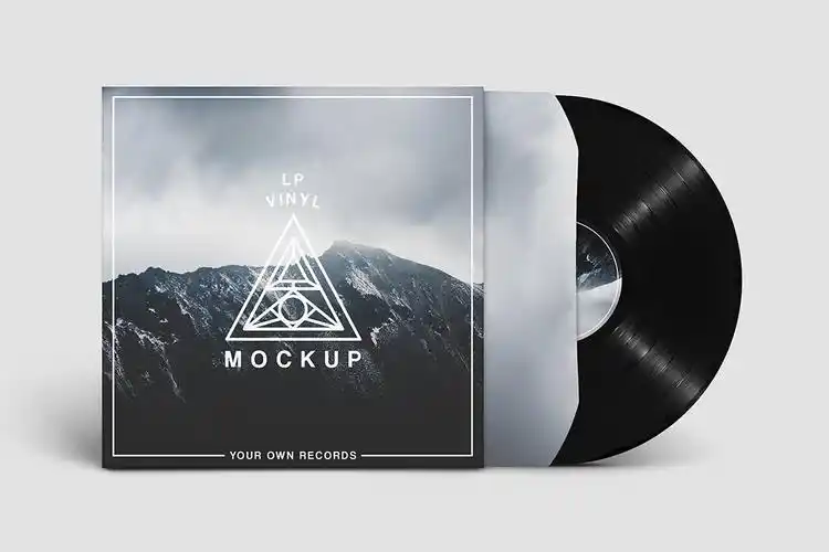简约高端时尚少见稀有的黑胶唱片包装设计vi样机