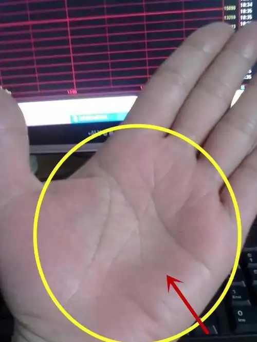 这种手相的人,是标准的成功人士,事业婚姻经营得都很好_方面_生命线