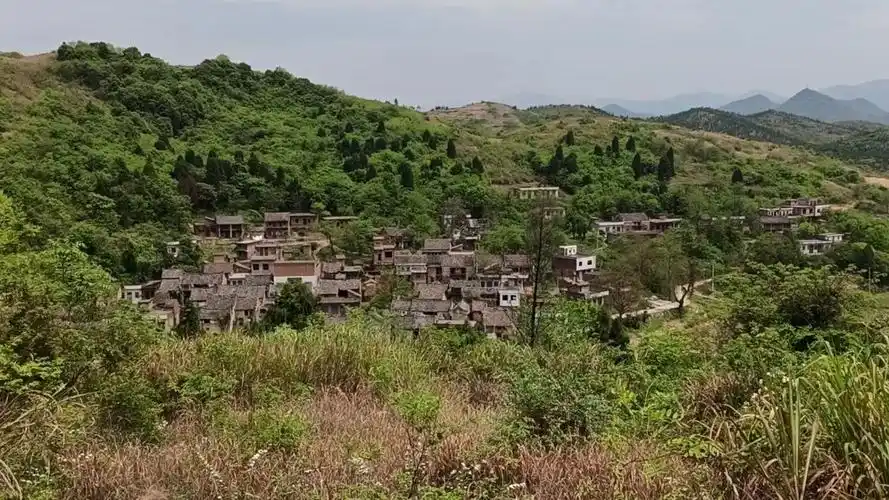 湖南省桂阳县流峰镇金城村