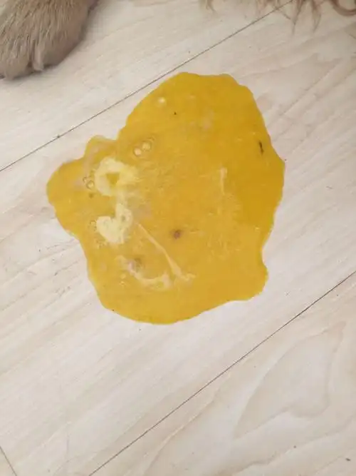 胆汁和胃液对食道的腐蚀作用很强,空腹呕吐之后会有强烈的灼烧感