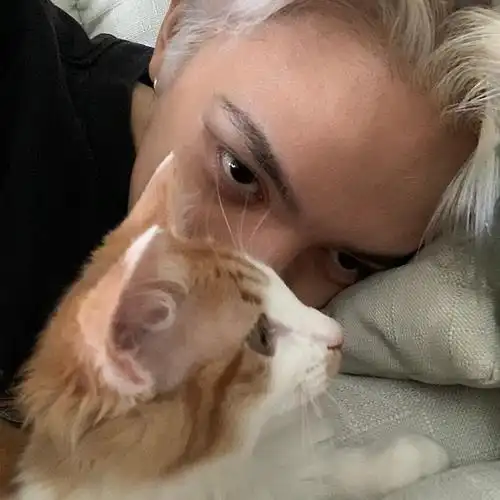 qq微信专属流行高冷帅气渣男头像