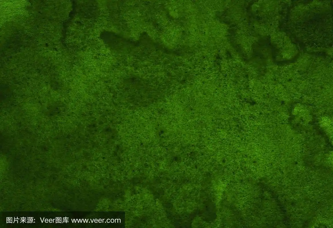 深绿色水彩抽象背景,污渍,油漆飞溅,污渍,离婚.为文本留出空间.