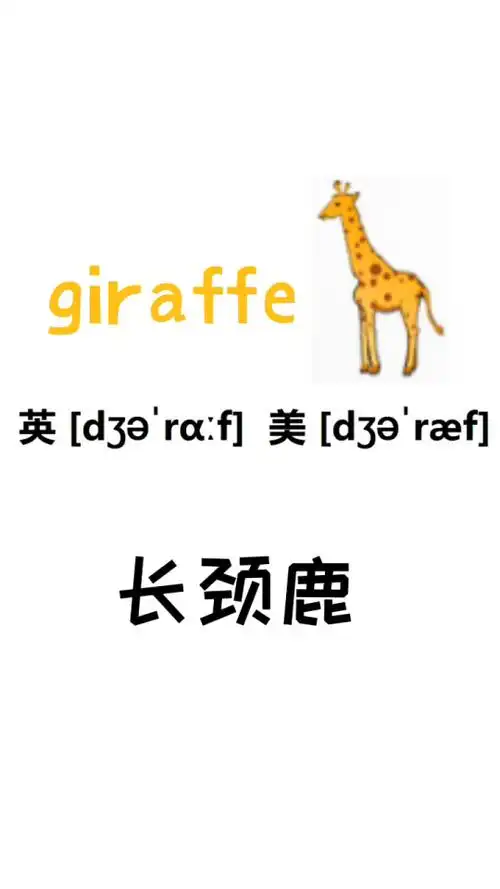 长颈鹿的英语