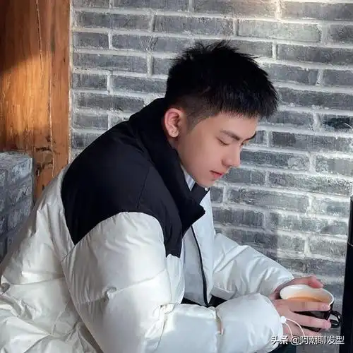 男生短发发型图片 学生 寸头(小学生发型男短发寸头)-天晟网