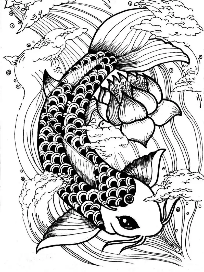 黑白线描95|锦鲤 儿童成人均可绘画 步骤在图二图三 材料|笔73