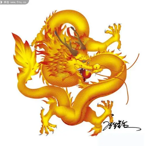 龙形图案龙年龙的图片