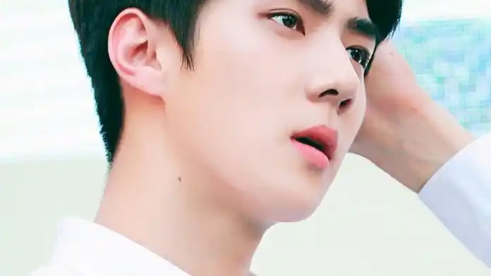 吴世勋橙光男主素材