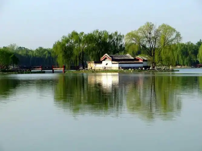 最爱春日圆明园