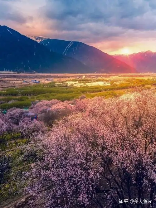 2021摄影女孩用什么相机好呢