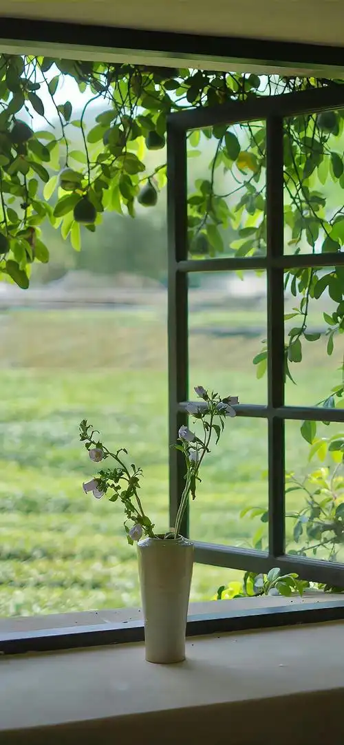 绿色系壁纸 太喜欢了!__财经头条