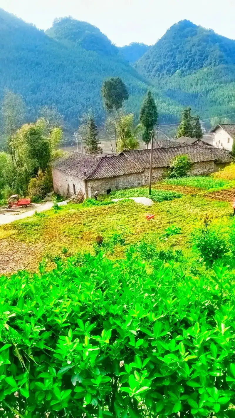 每天都记录我的农村真实生活日常 #原创视频 #三农 #这是 - 抖音