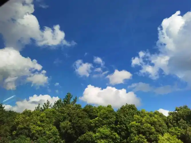 上海,云朵,前几天的云朵真是美极了