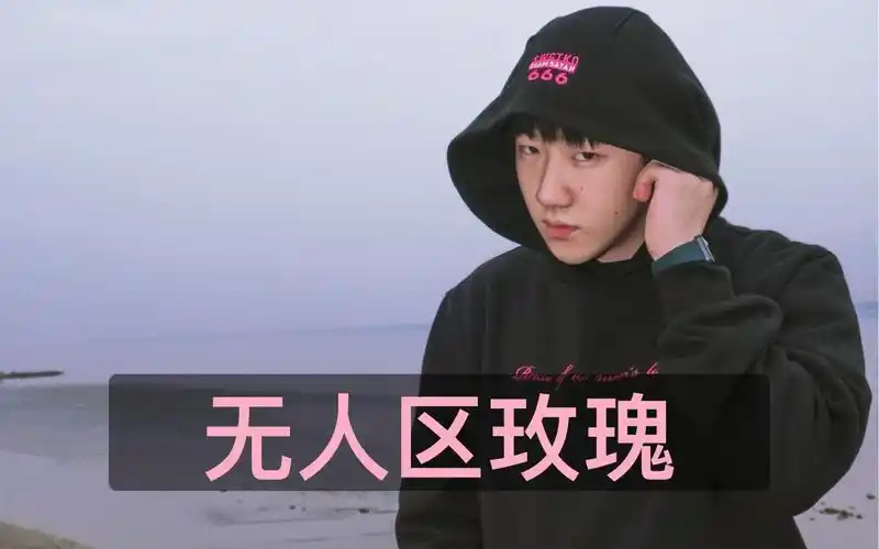 【窝在家里看电视pick赵小棠】无人区玫瑰- capper_哔哩哔哩_bilibili