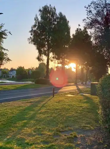 傍晚的小路 - 美篇