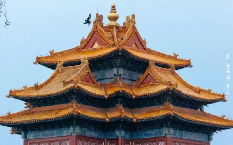 故宫壁纸 - 故宫博物院