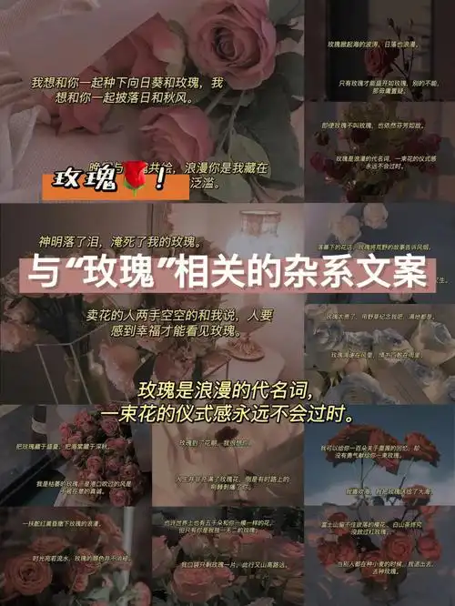 玫瑰即使玫瑰不叫玫瑰也依然芬芳如故