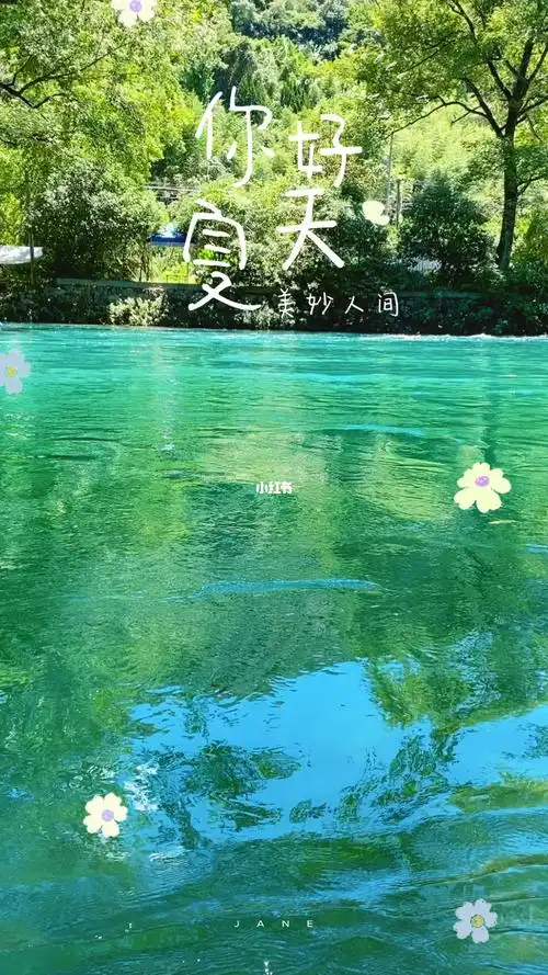 这个夏天是薄荷色的