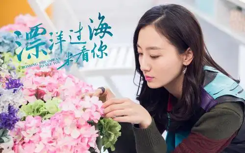 《漂洋过海来看你》高清剧照图片