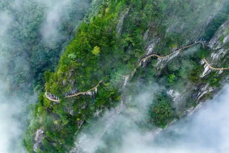 注意啦明月山这条公交线路有调整