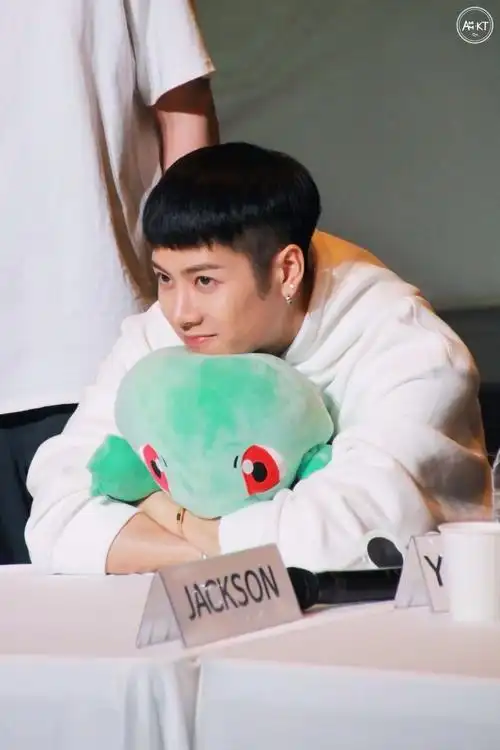 王嘉尔安利图 黑发篇 cr.logo微博