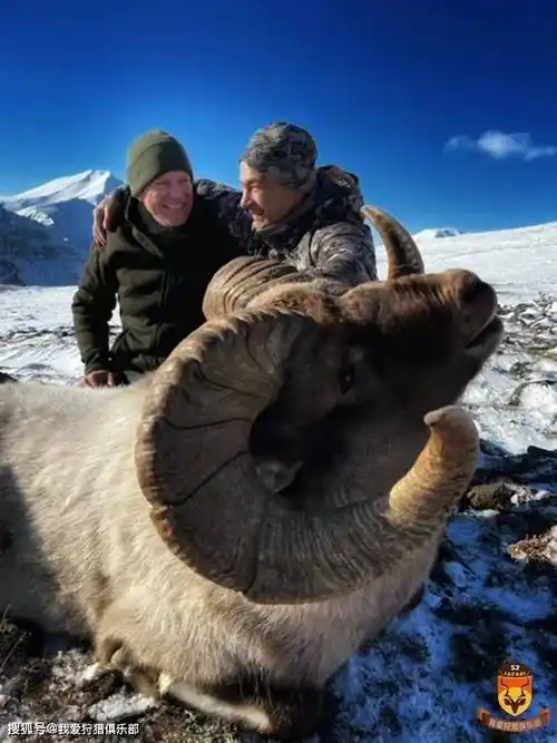 俄罗斯勘察加vip 区域狩猎_驼鹿_棕熊_直升飞机