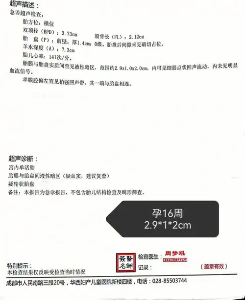 说一说孕期胎盘血窦