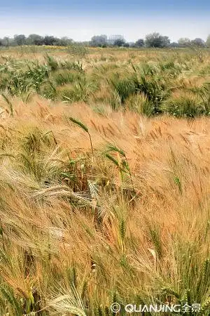 照片图片_图片大全