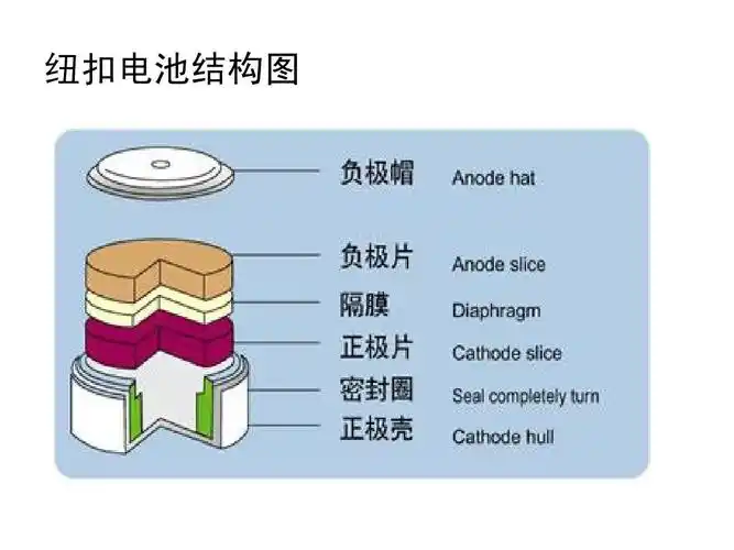 的危害和处理ppt 废旧电池的危害和处理,研究性学习 纽扣电池结构图