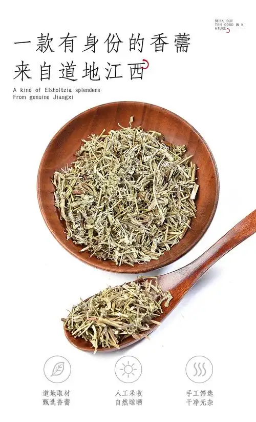 香薷茶包10g泡水喝小包装中药香薷草口气口臭香儒茶香儒草中草药