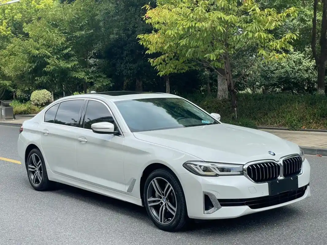 宝马 宝马5系  2021款 530li 领先型 豪华套装图片