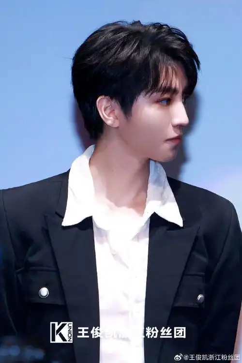 电影刺猬上影节展映##王俊凯新片刺猬见面会##王俊凯电影刺猬