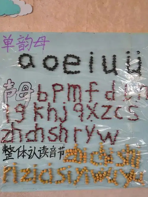 这是用黑豆红豆黄豆拼成的